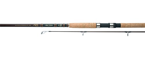 Shimano beastmaster ax multi silurus