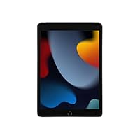 Apple 2021 iPad (10,2', Wi-Fi + Cellular, 256GB) - Grigio siderale (9ª generazione)