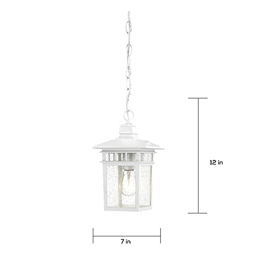 Image of Nuvo Lighting 60 /4954 Traditional One Light Hanging Lantern from Cove Neck collection in White finish