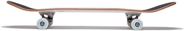 Image of [CCS] Skateboard Complete | Maple Wood | Professional Grade | Fully Assembled with Skate Tool & Stickers | Adults, Kids, Teens, Youth | Boys & Girls