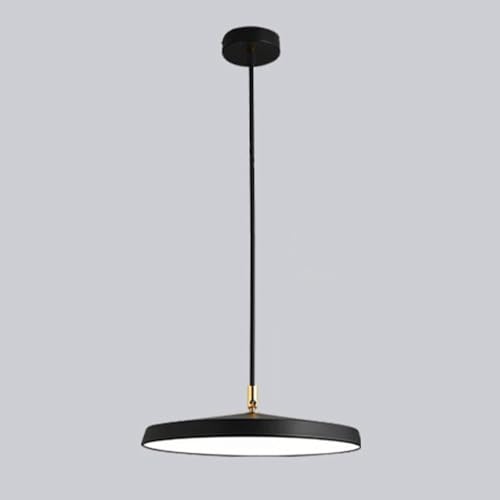 Suspension design rond en acrylique et métal fin de haute qualité