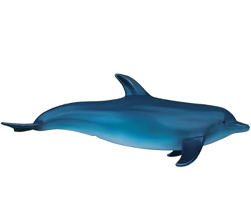 Modèle anatomique Dolphin 4D pour aider les enfants à aimer la science