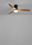 Produto B083WNVNRV - 5