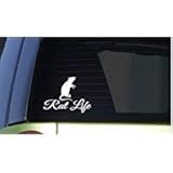 Rat Life *I278* 6' Sticker Decal Rats mice Snake cage Food pet Toys