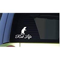 Rat Life *I278* 6
