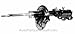 Monroe - 72370 - OE Spectrum Strut