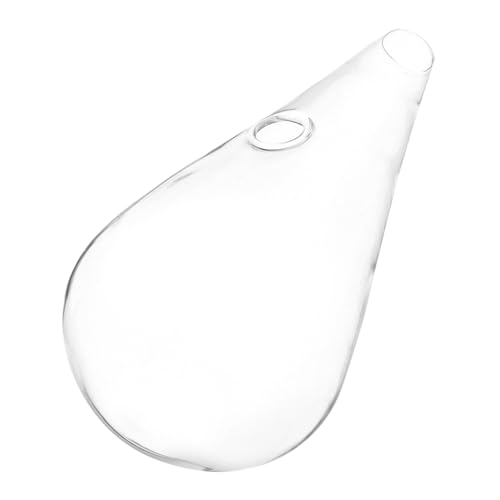 GOOHOCHY Jarrón Colgante De Pared Transparente De Cristal, Soporte Hidropónico para Plantas, Decoración Floral para Interior y Jardín