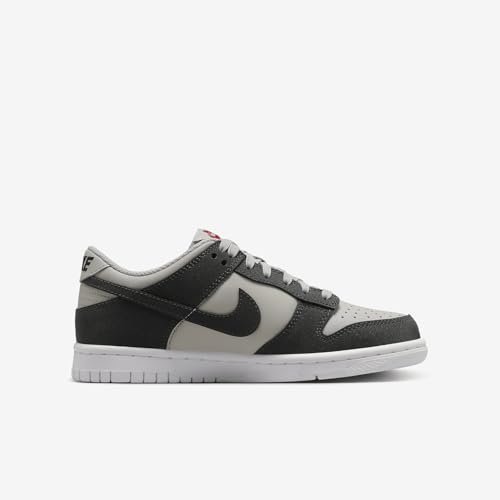 Nike Dunk Low Big Kids' Shoes (FZ1000-001, Light Iron Ore/White/Gym Red/Anthracite) Size 43