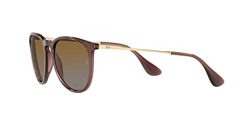 Image of Ray-Ban RB4171 Erika Round Sunglasses
