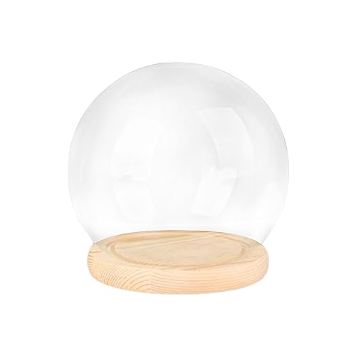 F Fityle Dôme d'affichage avec Base, dôme Cloche en Verre, vitrine de décoration de Maison de poupée, récipient de Terrarium, dôme en Verre Transparent,...