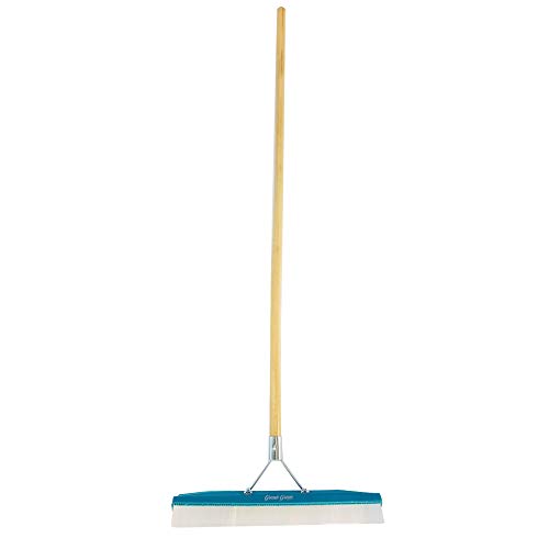 Grandi Groom AB24 Carpet Rake, 18-Inch Head, 54-Inch Handle, Blue