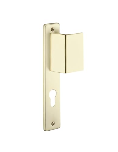 THIRARD - Poignée d'Entrée Palière Renforcée - Aluminium Anodisé - Usage Pratique - Aileron Réversible - Carré 7 mm - Entr'Axes 195 mm - Finition Champagne - Jaune/Doré