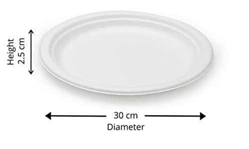 Image of 100% Natural Biodegradable Sugarcane Bagasse Disposable Plates | Natural, Safe & Hygienic Microwave Compostable Dinner Plate for Parties & Events (9 Inch, Pack of 50)