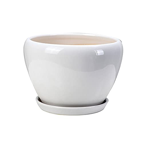 LNPTAL Modern Ceramic Plant Pot with Saucer, Glossy White Rounded
