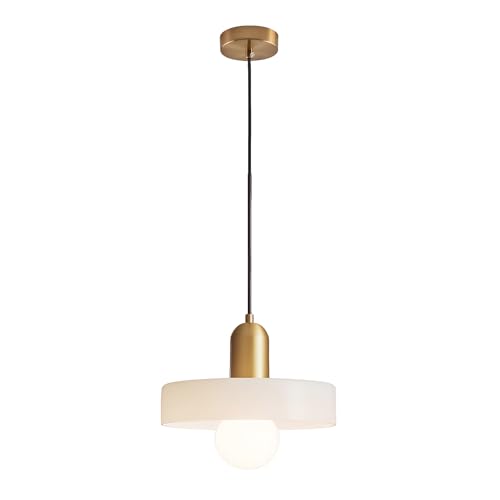 EKSED Lampe Suspended Vintage en Verre avec Base E27, Lampe Suspendue Réglable, Idéale pour...