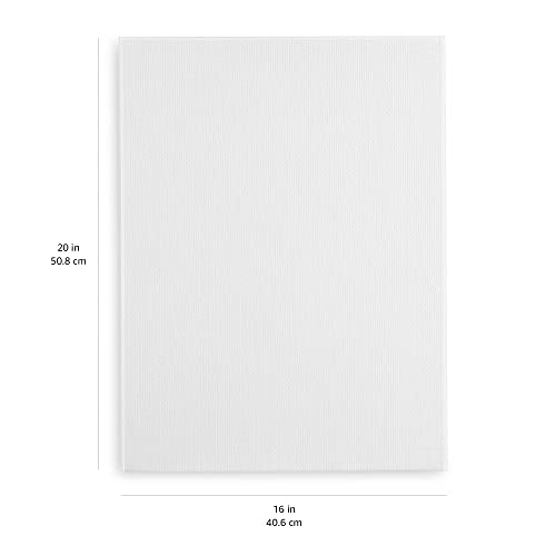 Amazon Basics Stretched Canvas For Painting, 5 Pack, 16"X20" #TOP4