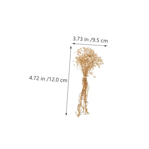 Ramo de 5 flores secas naturales Gypsophila miniatura 2