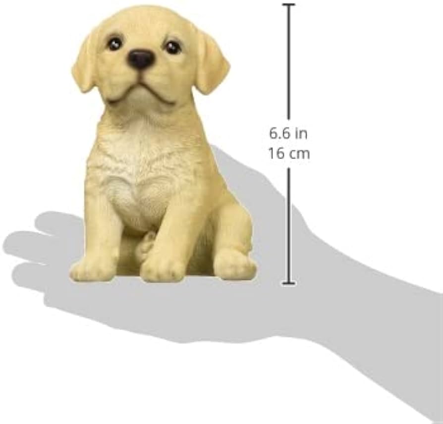 ラブラドールページ 54_m_lrh1_8b63a0f8-f889-40b9-