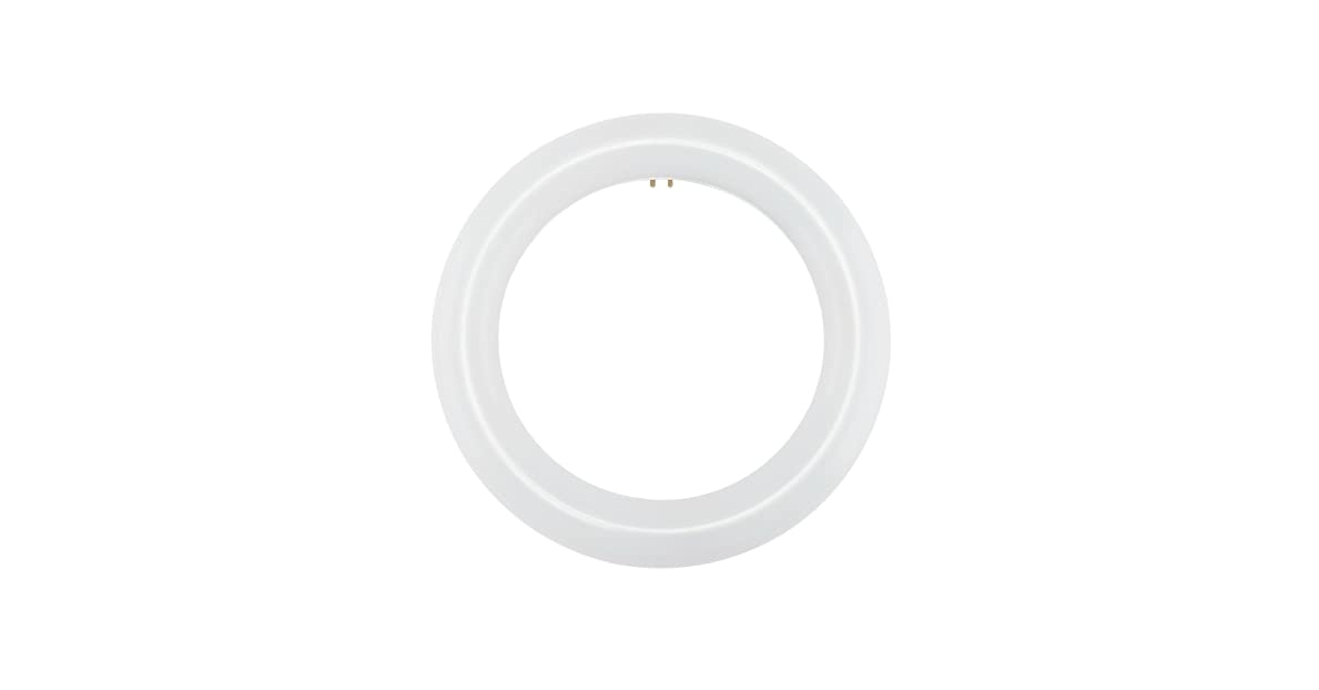 NYLL - 8 Inch/ 8