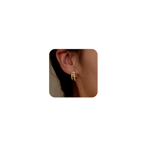 Dainty Small Hoop Earrings for Women -Trendy 14K Gold/Silver Plated Hypoallergenic Lightweight Huggie Earring Double Hoops Earrings for Women Fashion