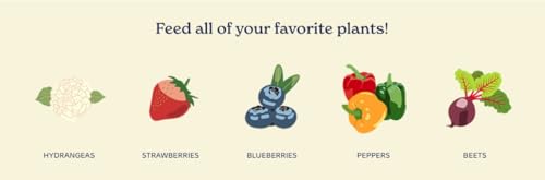 True Organic Soil Acidifier – Lowers Soil pH for Acid-Loving Plants – Ideal for Turning Hydrangeas Blue – 6lb Bag