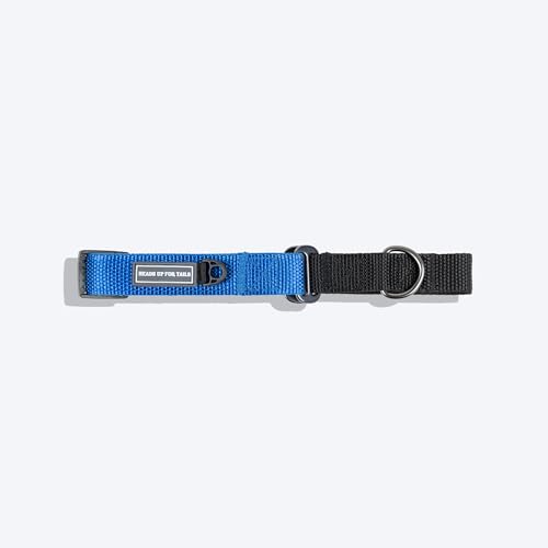 Image of HUFT Martingale Collar - Cobalt Blue & Classic Black (M) | Stylish Adjustable Dog Belt for Puppies, Small & Medium Dogs | Durable Neck Collar for Walking, Training & Everyday Use