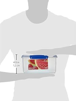 Sistema Microwave Collection Noodle Bowl 31.7oz, Red 1109ZS, 4 Cup, 101 Ounce transparent 1830