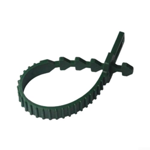 Lot de 10 attaches pour arbre, sangles de support en caoutchouc souple pour plantes, convient pour 24 cm
