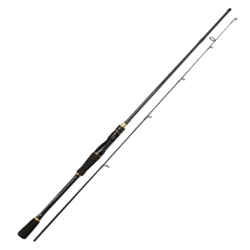 Caña Spinning Caña De Señuelo ML, Mango Enderezador/Mango De Pistola, Caña De Pescar De Ajuste Medio Y Rápido, Juego Completo De Caña De Señuelo Cana de Pesca(Black,2.1M)
