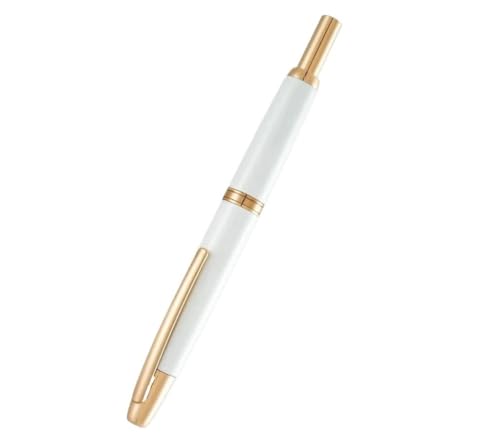 Stylo plume rétractable bordeaux pointe fine 0.5 mm avec convertisseur pour écriture propre