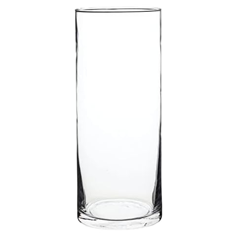 Clear Glass Cylinder Vase for Flowers 25cm - Tall Large Flower Vase for Daffodils, Tulips, Roses, Lily, Posy, Bouquet Arrangements - Flower Stem Container Beautiful Home Decor Cover