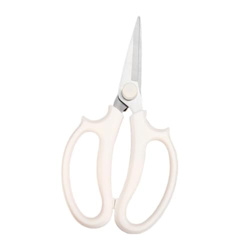 J[ oT~ | Kȃnht̒뙒͂݁AԂ̃AWA΂ AÃg~OAJo[t, |HɔɓK v̉Ԃ͂