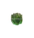 Artipistilos® Bolsa De Plumas De Gallina De Guinea - Bolsa De Aprox. 15 Plumas, Verde - Bolsas