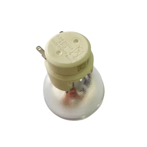 Projecteur boîtier 1018580 pour Technologies SLR60Wi ampoule