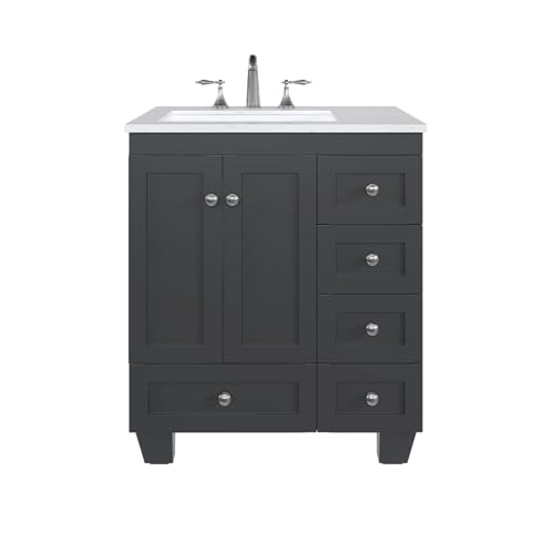 Eviva Acclaim 28 in. White Transitional Bathroom Vanity with Espresso Carrara Quartz Countertop and Undermount Porcelain Sink