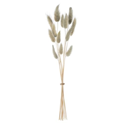 Ganz Artificial Plant Faux Foliage Greenery 13.75 Inch Natural Fibers Green Foxtail Grass Bundle