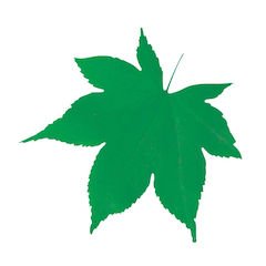 }R[ ^NAV[g(200) ݂ 65366