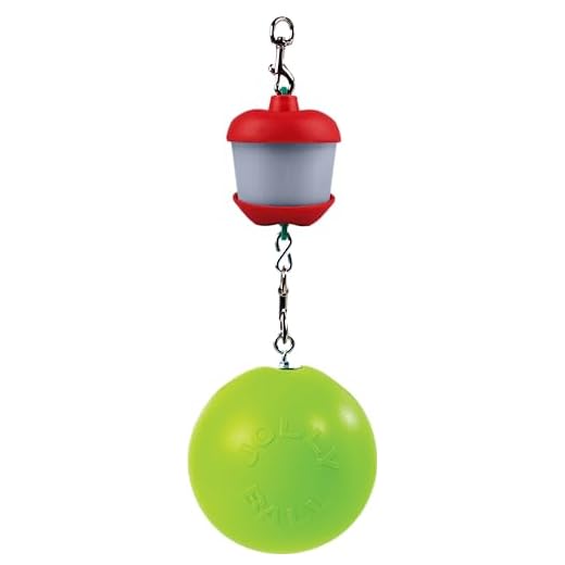 Horsemen's Pride Combo Horse Stall Toy: Apple Scented Jolly Ball and Apple Flavored Snack Holder