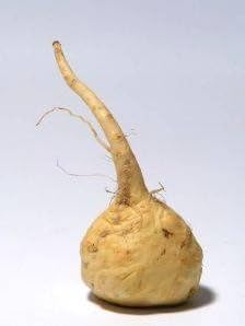Organic Raw Maca Powder, 2 LB Grade AAA+