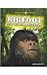 Produktbild Mystery Hunters: Bigfoot and Other Big Monsters, the World's Strangest Unexplained Mysteries, Atlantis and Other Lost Worlds, Hauntings, Aliens and Ufos