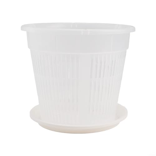 Sauvez vos orchidées avec ce pot transparent perforé de 19 cm