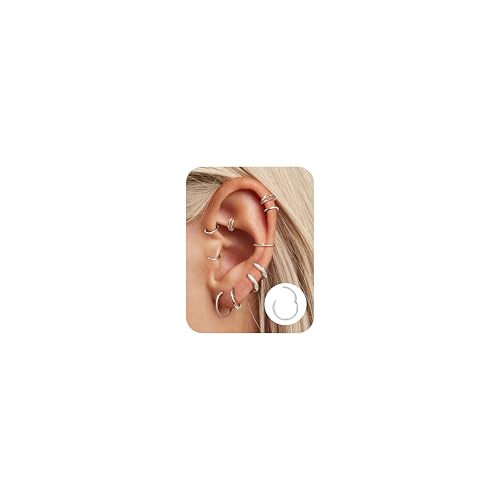 ADRAMATA 10 Pcs Cartilage Hoop Earrings Surgical Steel Nose Rings 16G/18G Segment Hinged Septum Ring 6-12mm Couch Daith Lip Tragus Piercing Jewellery Set for Women Men