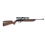 Crosman 760X Pump Master