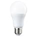 AmazonBasics Bombilla LED Esférica E27, 10W (equivalente a 75W), Blanco Frío -...