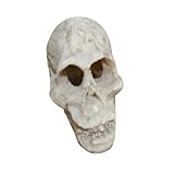 1 Stück Aquarium-Schädel-Dekoration, künstliches Rhino-Ziegenharz-Schädel-Verzierung, Fits für Fischtank/Aquarium/Terrarium/Reptilische Höhlendekor, Orang-Utan-Schädel