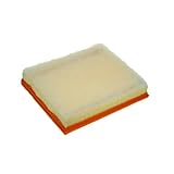 PURFLUX A1346 Air Filter Pack of 1