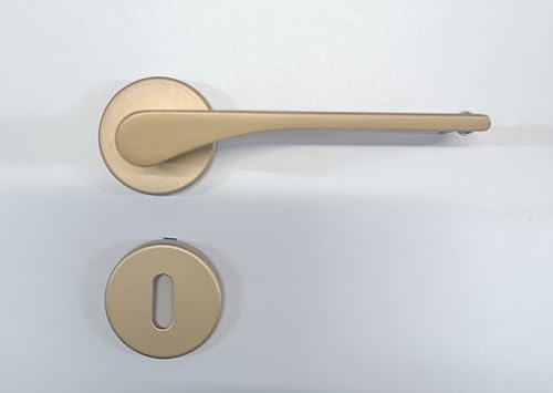 Poignée de porte intérieure changer quincaillerie or opaque buse