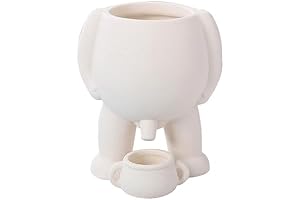 Irresistible Penis Succulent Pot for Vibrant Indoor Greenery