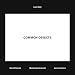 Lewis Baltz: Common Objects
