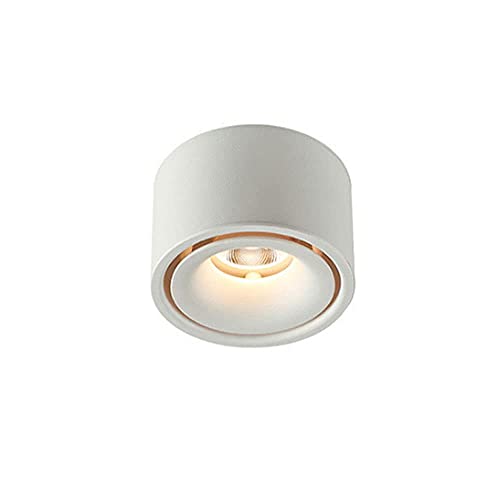 Spotlights,Ceiling Spot Lights Surface Mounted Spotlight, 7W Indoor Ceiling Light Fixture, Gallery Picture Lighting, Aluminum Anti-Glare Spotlights for Corridor Kitchen Living Room/White-4